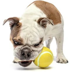 GURU Tennis Treat Holder Ball Dog Toy, Medium