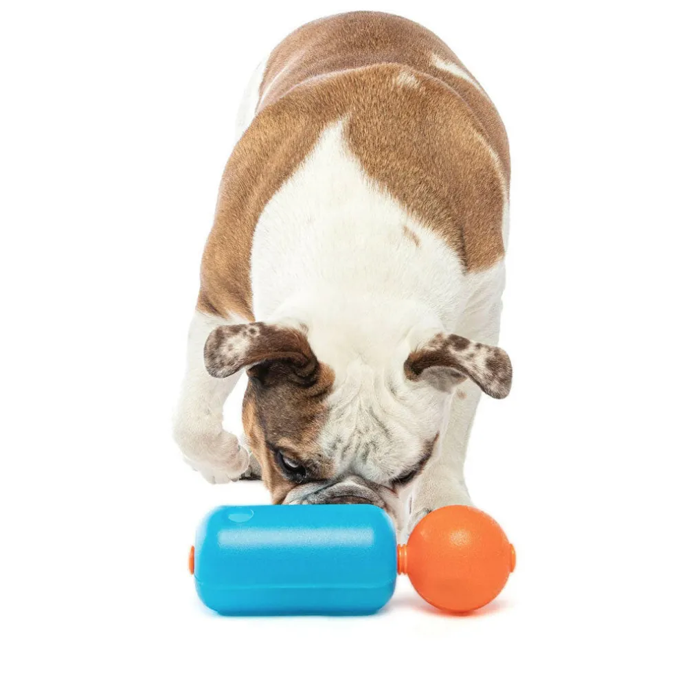 GURU Treat Challenger Dispenser Dog Toy, Medium
