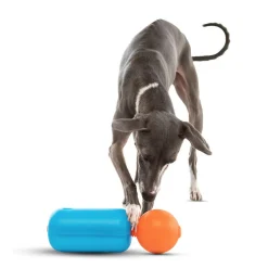 GURU Treat Challenger Dispenser Dog Toy, Medium