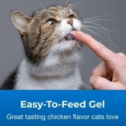 Hairball Natural Solution Gel Supplement for Cats (3.5 oz)