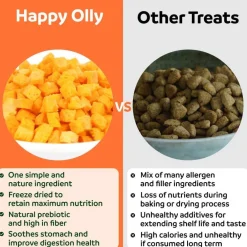 Happy Olly Happy Olly Freeze Dried Pumpkin- Single Ingredient Dog Treats, 2-oz