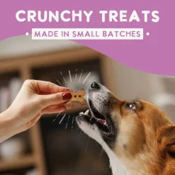 Health Extension Grain Free Salmon Dog Treats