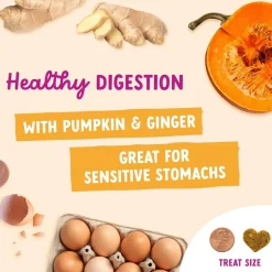 Health Extension Impawfect Pumpkin & Ginger for Digestive Support Treats for Dogs, 4.5-oz