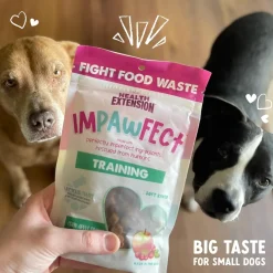 Health Extension Impawfect Pumpkin & Ginger for Digestive Support Treats for Dogs, 4.5-oz