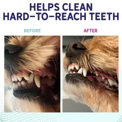 Health Extension Peanut Butter Flavor Dental Chews For Dogs