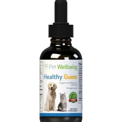 Healthy Gums for Canine Periodontal Health