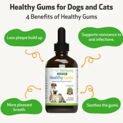 Healthy Gums for Canine Periodontal Health
