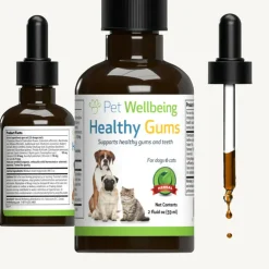 Healthy Gums for Feline Periodontal Health