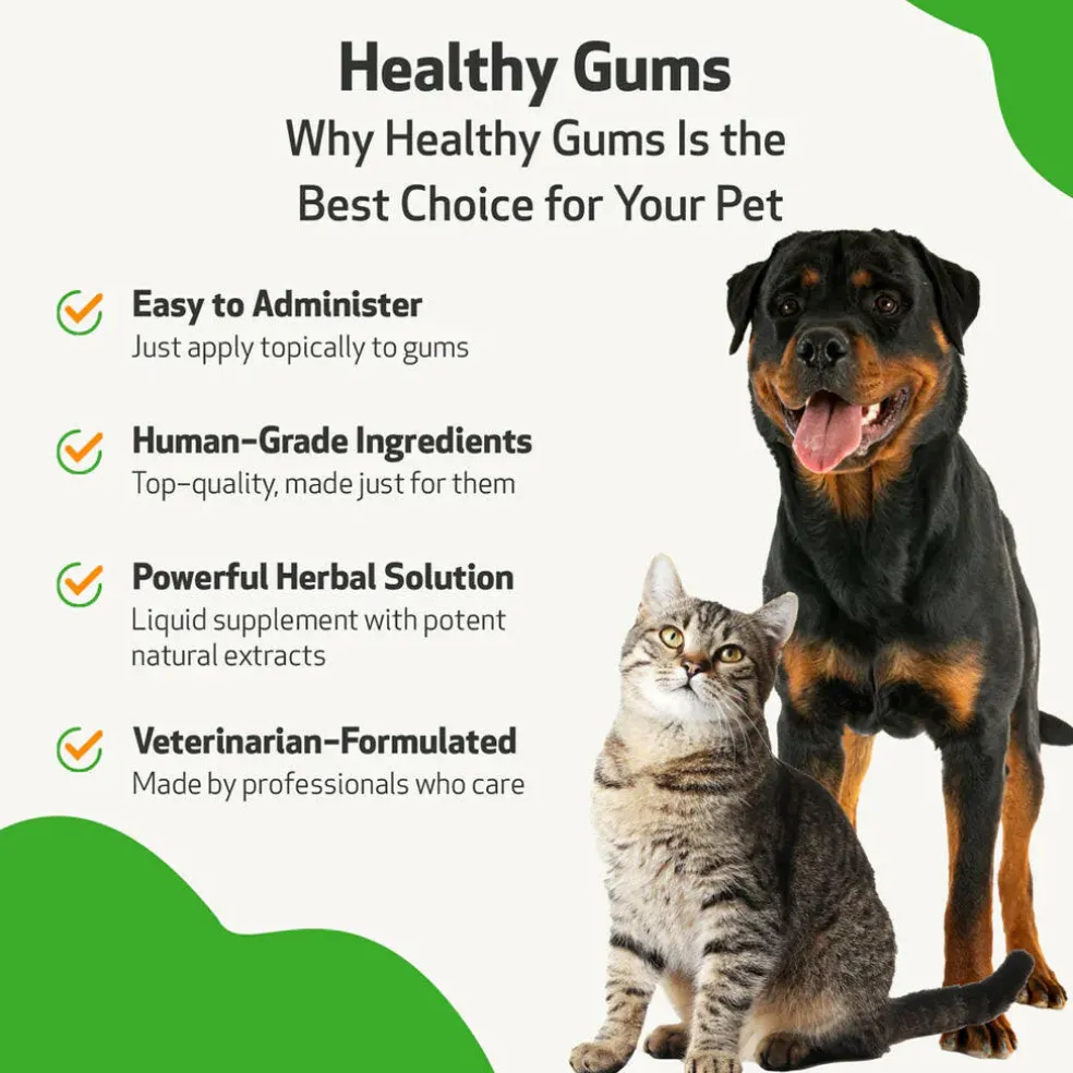 Healthy Gums for Feline Periodontal Health
