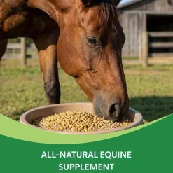 HEIRO Insulin Resistance Supplement for Horses