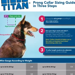 Herm Sprenger Titan Prong Training Collar For Dogs
