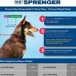 Herm Sprenger Ultra-Plus Prong Training Collar with Latch For Dog