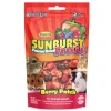 Higgins Sunburst Freeze Dried Fruit Berry Patch For Small Animals (0.52 oz)