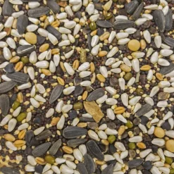 Higgins Sunburst Soak n' Sprout Treats For Birds 3 oz