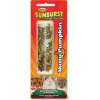 Higgins Sunburst Treat Sticks Nutty Pumpkin Treats For Hamster Gerbil & Rodent (2.5 oz)