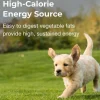High Calorie Gel Supplement for Dogs (5 oz)