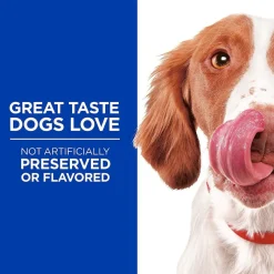 Hill's Natural Flexi-Stix Beef Jerky Dog Treats