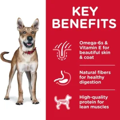 Hill's Science Diet Adult Dry Dog Food Chicken & Barley Recipe