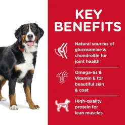 Hill's Science Diet Adult Large Breed Dry Dog Food, Chicken & Barley Recipe