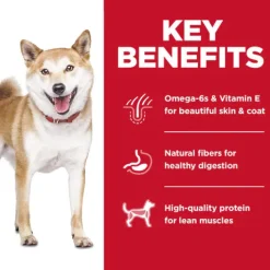 Hill's Science Diet Adult No Corn, Wheat or Soy Dry Dog Food, Chicken Recipe