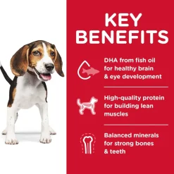 Hill's Science Diet Puppy Dry Dog Food, Chicken Meal & Barley Recipe (30 lb)