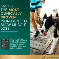 HMB Healthy Muscle & Strength Granules for Dogs