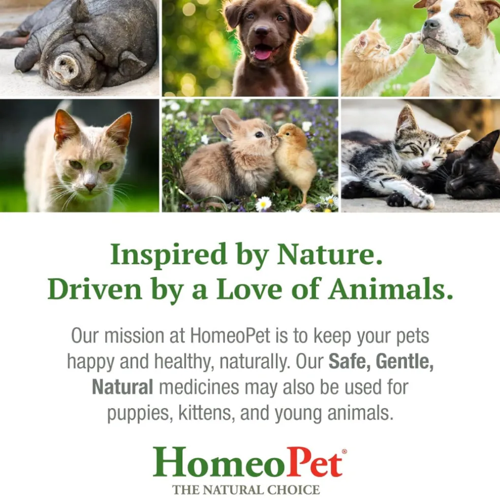 HomeoPet Cough Relief For Pets (15 ml)