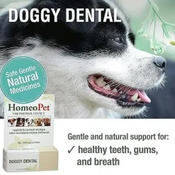 HomeoPet Doggy Dental, 15-ml