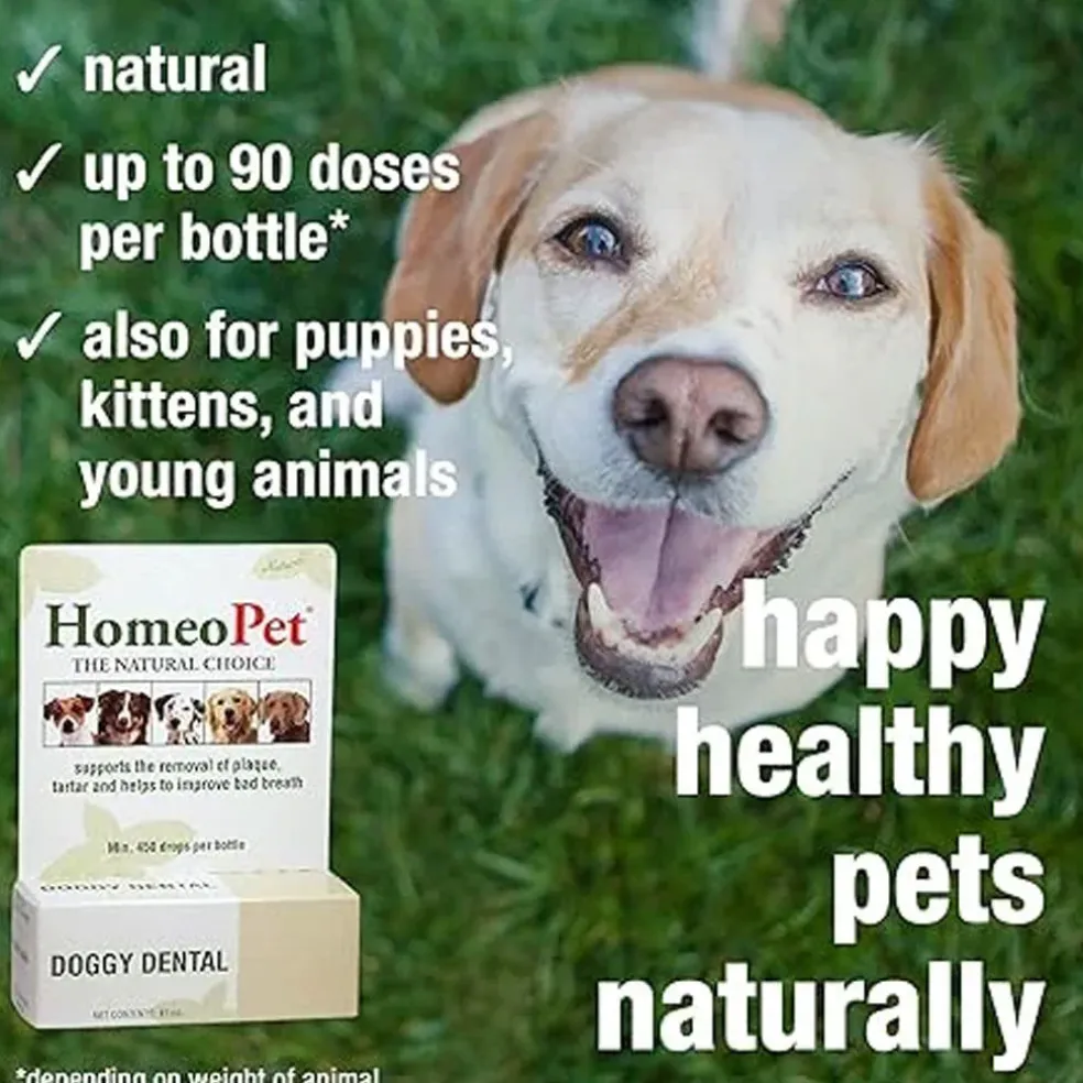 HomeoPet Doggy Dental, 15-ml