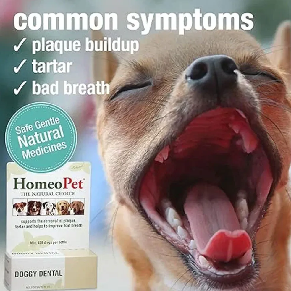 HomeoPet Doggy Dental, 15-ml