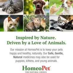 HomeoPet Doggy Dental, 15-ml
