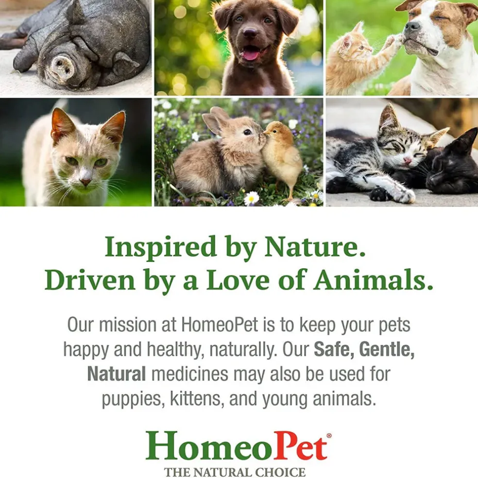 HomeoPet Doggy Dental, 15-ml