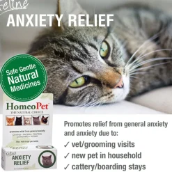 HomeoPet Feline Anxiety Relief For Cats (15 ml)