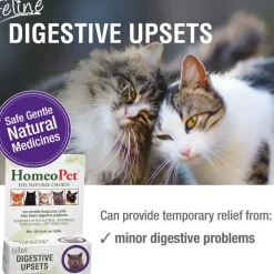 HomeoPet Feline Digestive Upsets For Cats (15 ml)