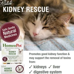 HomeoPet Feline Kidney Rescue, 15-ml