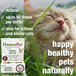 HomeoPet Feline Kidney Rescue, 15-ml