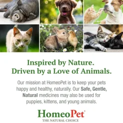 HomeoPet Feline UTI+ Urinary-Tract Support for Cats (15 ml)
