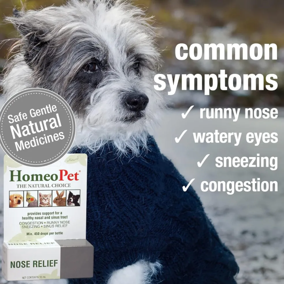 HomeoPet Nose Relief For Dogs (15 ml)