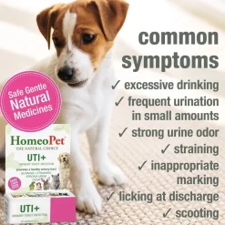 HomeoPet UTI Plus Urinary Tract Infection for Pets, 15-ml