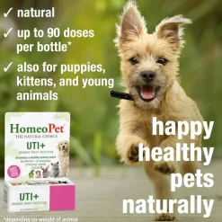 HomeoPet UTI Plus Urinary Tract Infection for Pets, 15-ml
