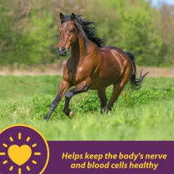 Horse Health Products Vita B-12 Crumbles Vitamin Supplement For Horses (3 lb)