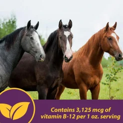 Horse Health Products Vita B-12 Crumbles Vitamin Supplement For Horses (3 lb)