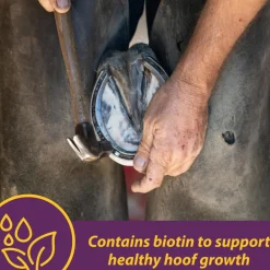 Horse Health Products Vita-Biotin Cumbles Hoof Supplement for Horses (3 lb)