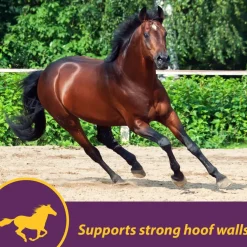 Horse Health Products Vita-Biotin Cumbles Hoof Supplement for Horses (3 lb)