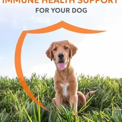 Imuquin for Dogs (30 chewable tablets)