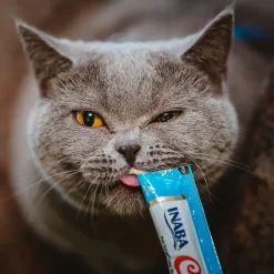 Inaba Churu Chicken Variety Pack Grain-Free Lickable Treat for Cats