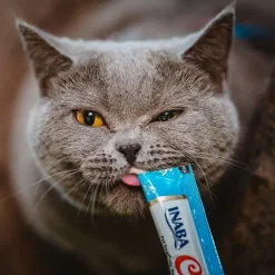Inaba Churu Tuna with Chicken Puree Grain-Free Lickable Treat for Cats, 0.5-oz x 4-tubes