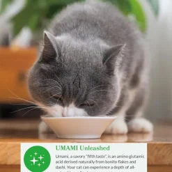Inaba Dashi Delights Chicken with Cheese Recipe in Broth Cat Food, 2.5-oz