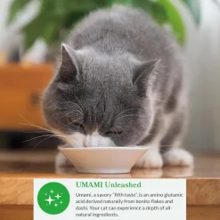 Inaba Dashi Delights Chicken with Tuna & Scallop Recipe in Broth Cat Food, 2.5-oz - DISCO