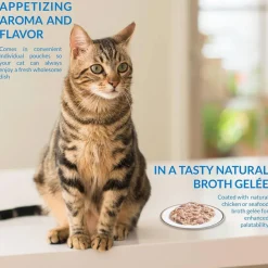 Inaba Twin Packs Tuna & Chicken Recipe in Tuna Broth Grain-Free Cat Food, 1.23-oz